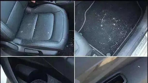 汽车空调异味背后的真相！自己动手清理只需三步告别刺鼻味道