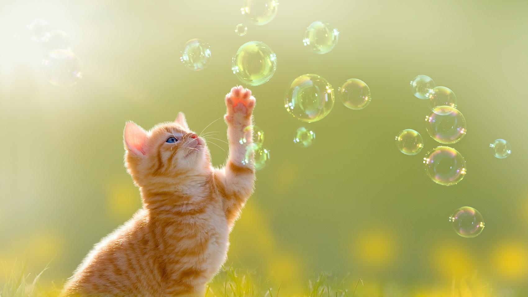 汪缘堂：常见神煞分类之贵人系列