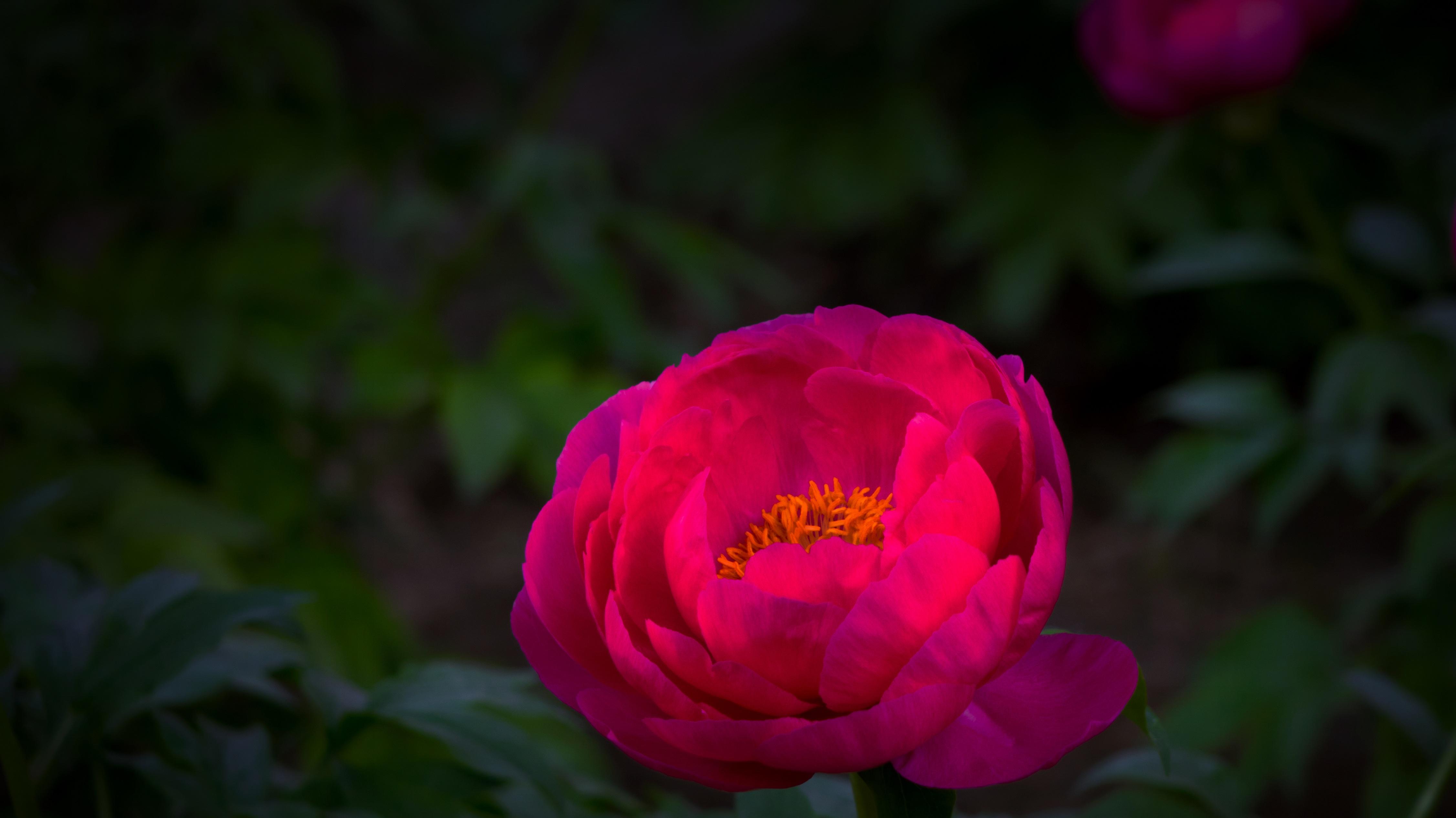 2027年英国G20峰会的玄机