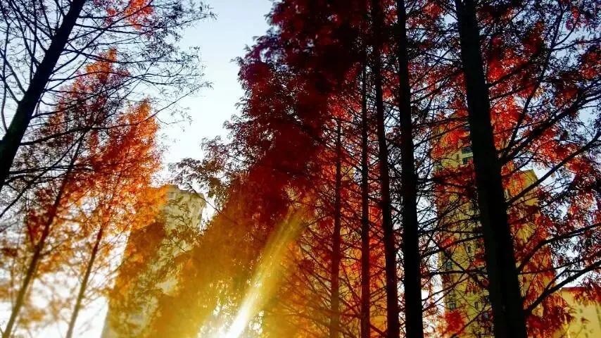 随笔：在喜欢的维度里，做快乐的事