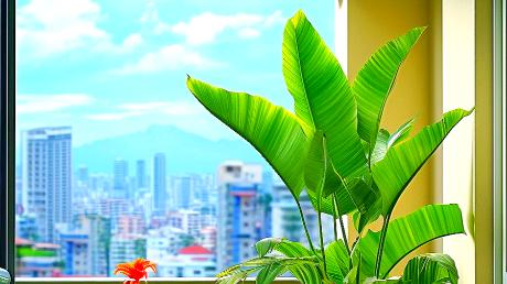 杭州封阳台养植：系统门窗焕活绿意