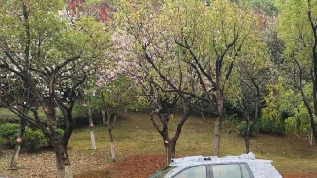 广汽和滴滴首款量产无人车谍照曝光 2025年投产交付