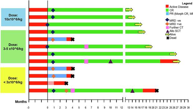 91.7%客观缓解率！你是否适合CAR-T治疗？一文读懂这项抗癌新技术的适应症与效果