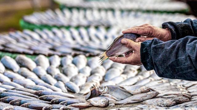 冬天，这4种鱼要少吃，都自带“重金属”！鱼贩：再便宜也别买