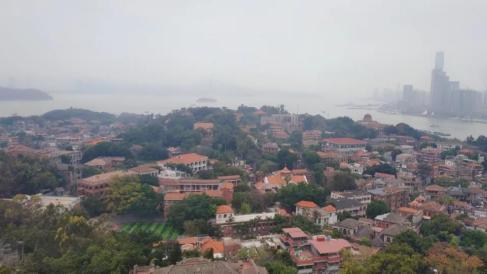 成年人为什么不认错