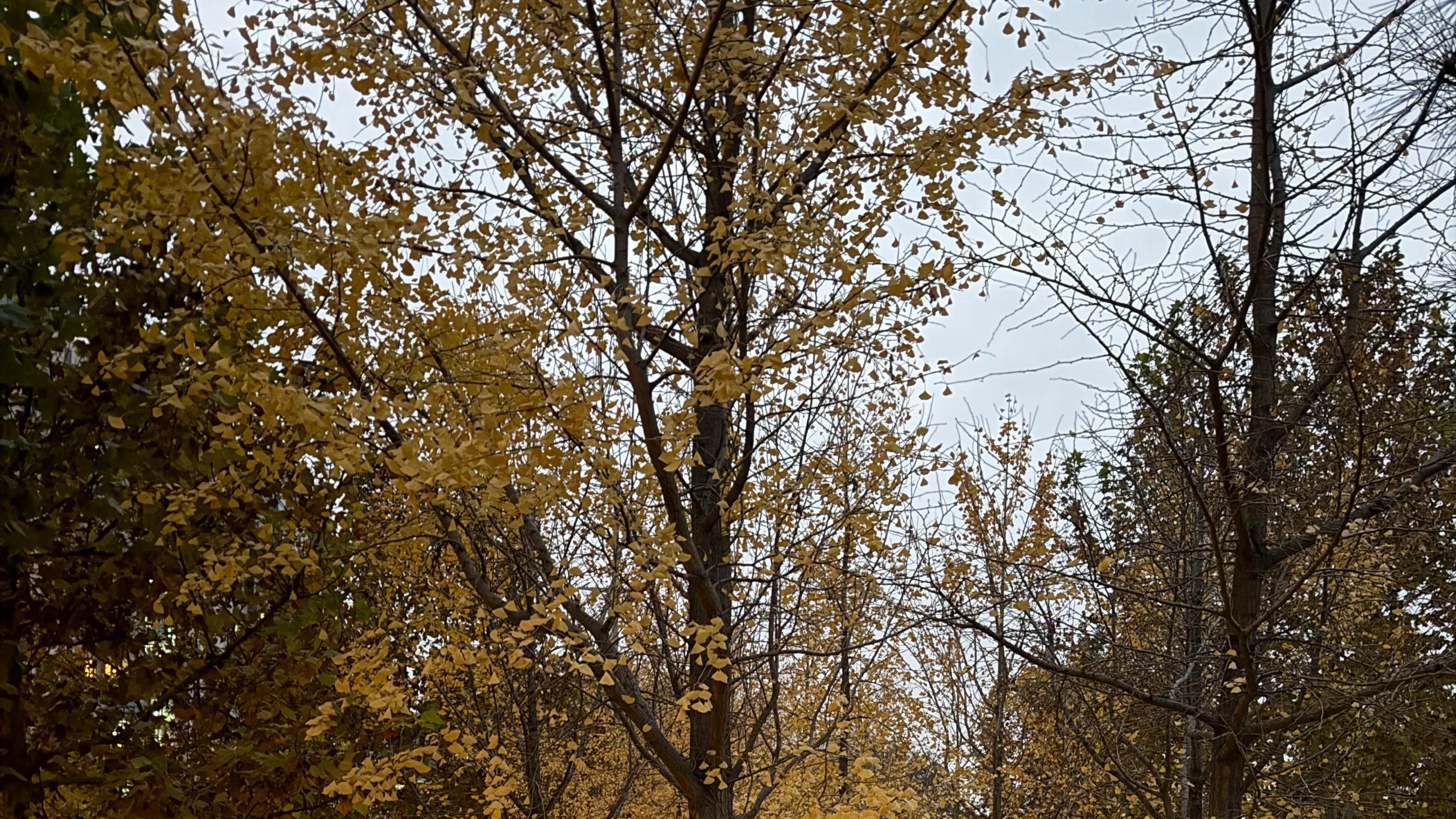 北京买房血泪史：两套房让我们“一夜返贫”