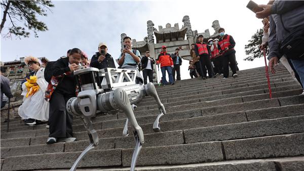 泰山之巅的钢铁诗篇：当机械犬蹄叩响千年石阶