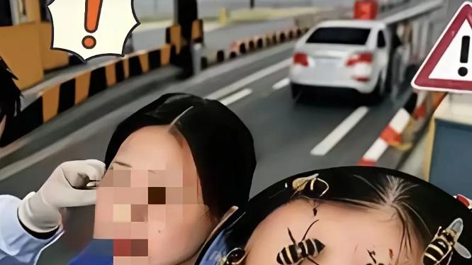 关注 一拉着一车蜜蜂的车在通过收费站时，遭到两女收费员的拦截，要司机打开车上的箱子例行检查。