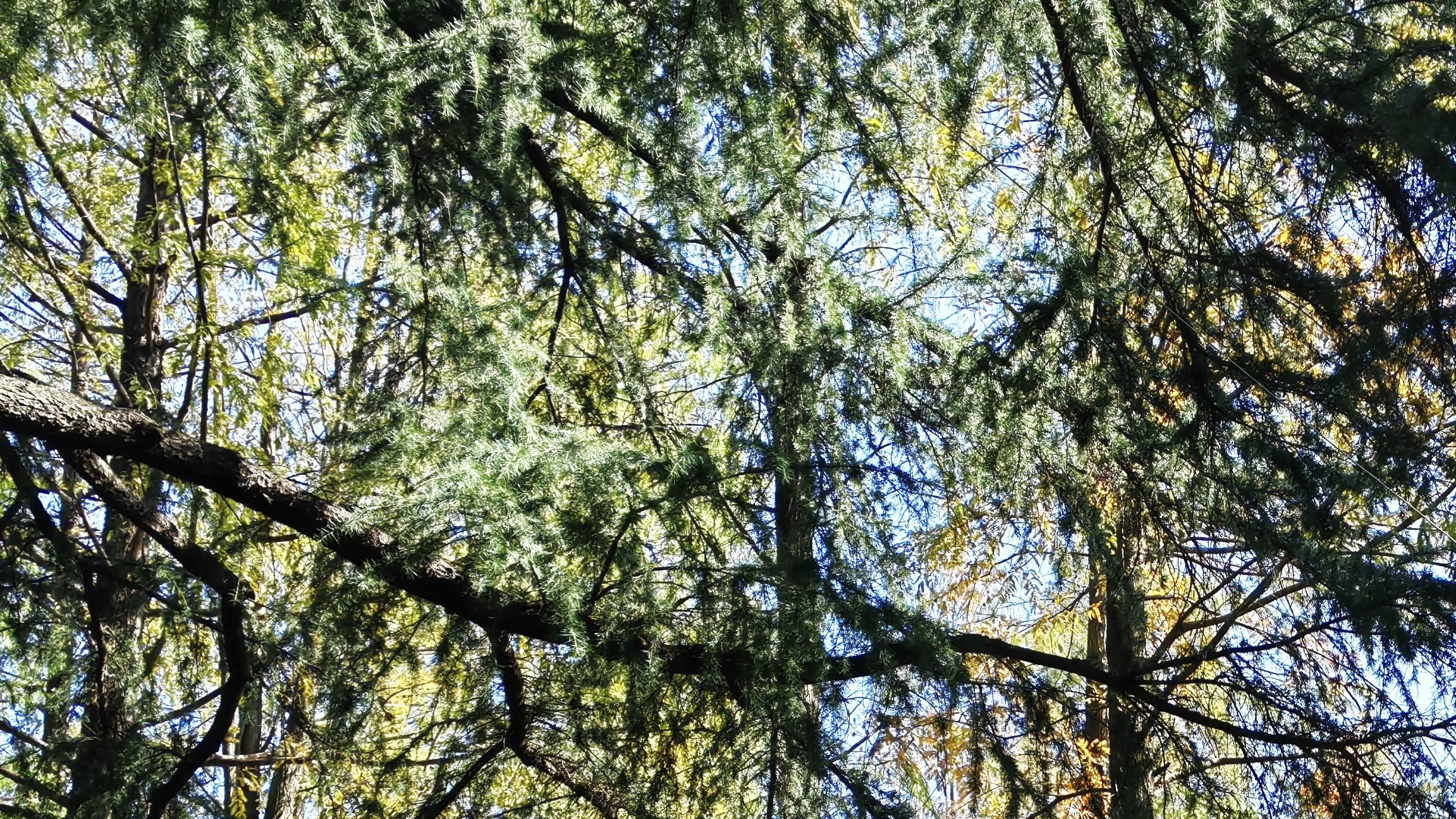 人在职场：不翻脸，是一种选择