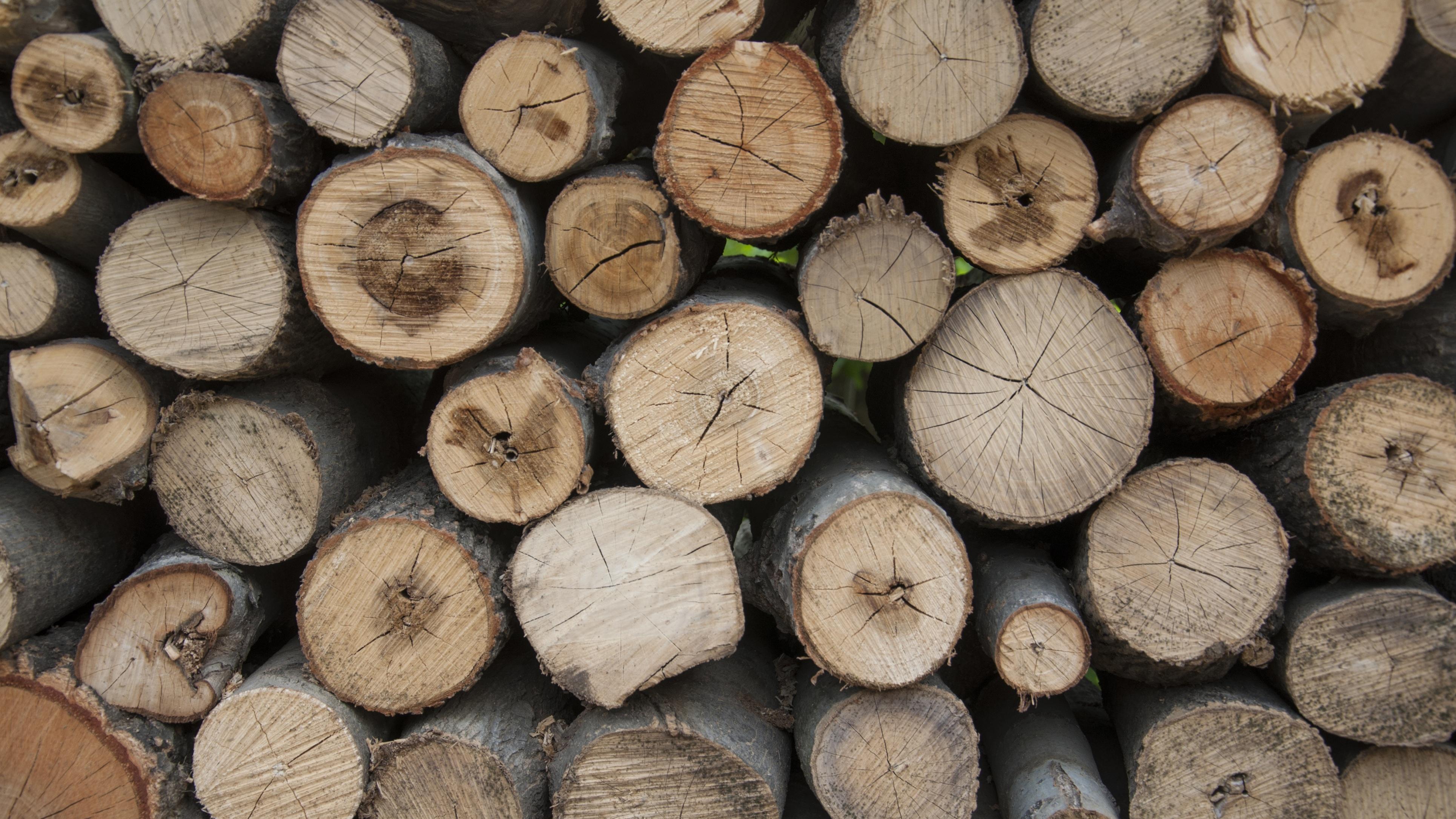 未来十年的主线，真的非AI不可吗？