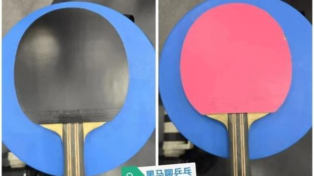 花瓣：达科暗讽王楚钦，林昀儒要给胶皮加硬