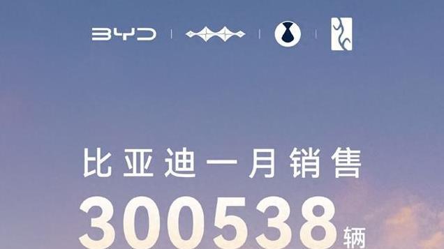 中国销冠：比亚迪1月销量破30万辆，11款车型销量破万