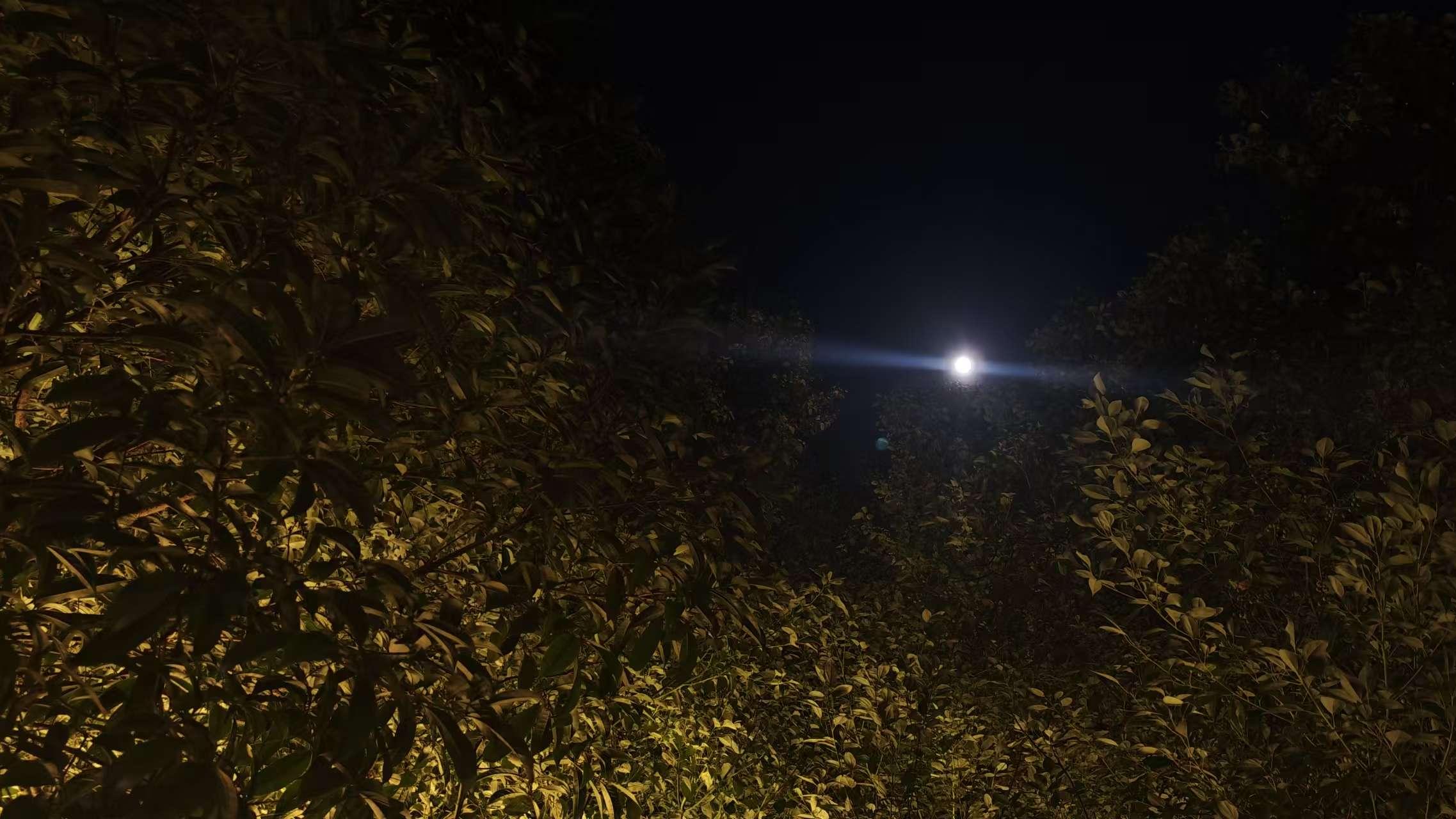 **《让知识去流浪》中秋特别篇：画室里的月光**