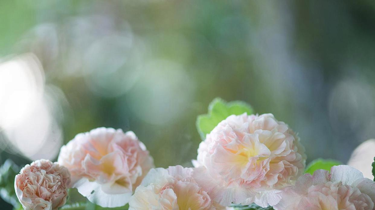 嘿，唠唠嗑，人这一辈子到底图个啥？