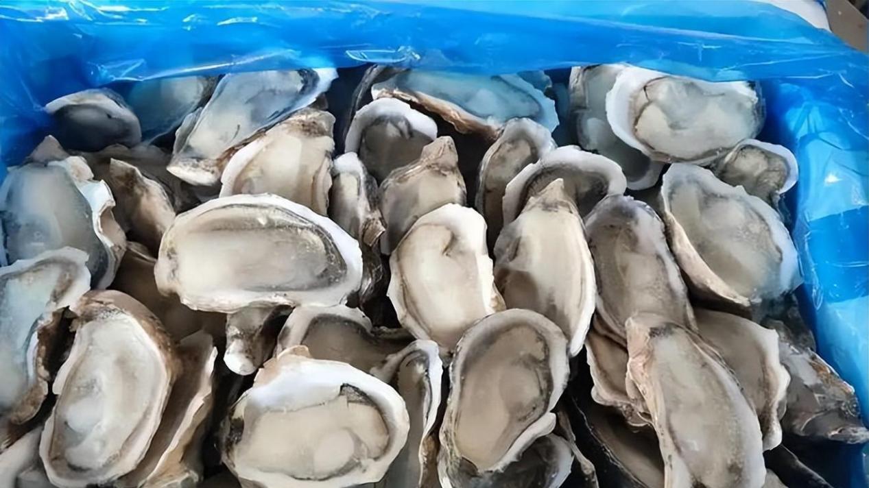 生蚝可以冷冻吗？多种方法可以保存！