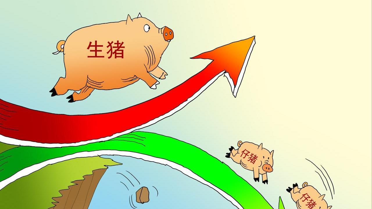 消费掣肘、供应过剩，猪价下跌“无休止”！附：9月14日猪价