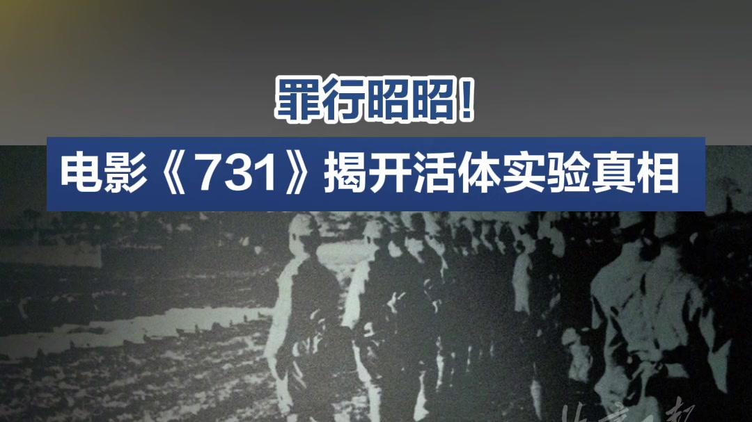 为什么《731》这么火？老兵谈谈看法！