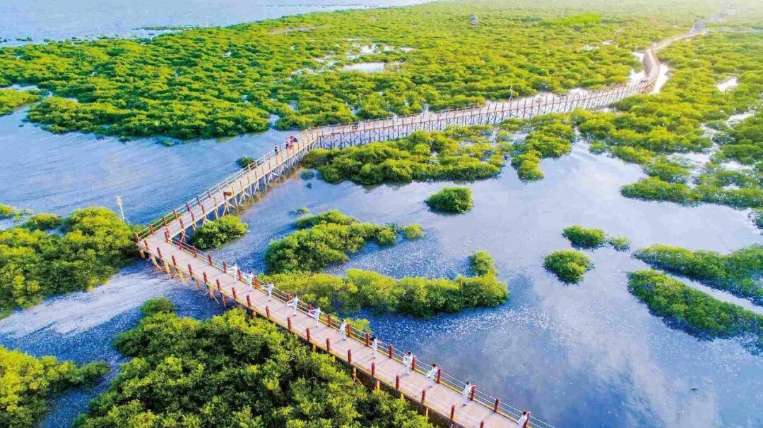 2025年终岁末：到处都在搞文旅，明年这行业情况可能会怎样？