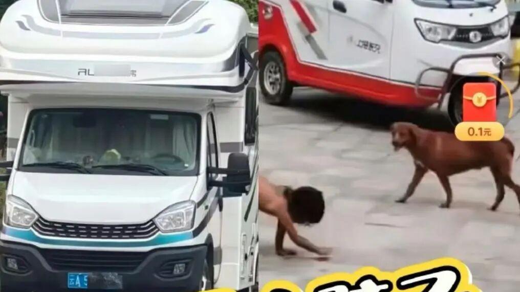 野人小孩：是认知缺失还是父母沦丧？