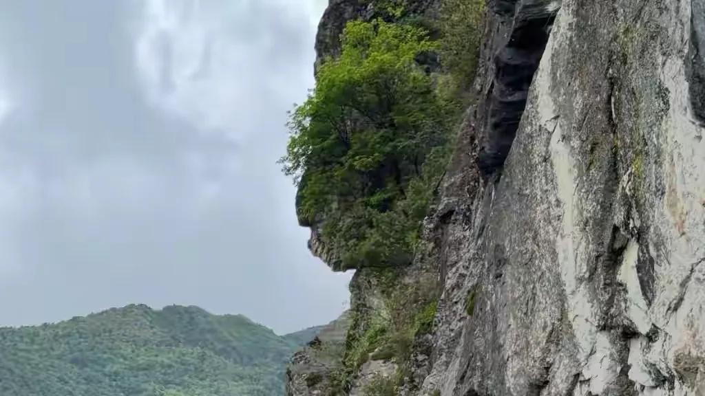20多岁男子在大理苍山观光道外自缢，4天后发现遗体！遗言疑似曝光，引热议