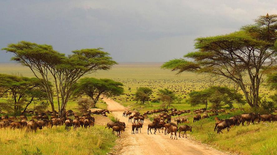 我是上门女婿，元旦回家给了我父母2000元，回家后妻子不愿意了，岳母的话令我感动