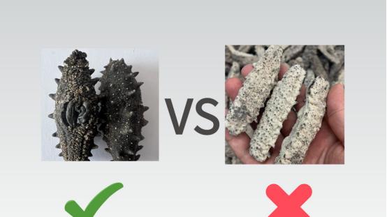 海参测评什么样的海参值得购买？