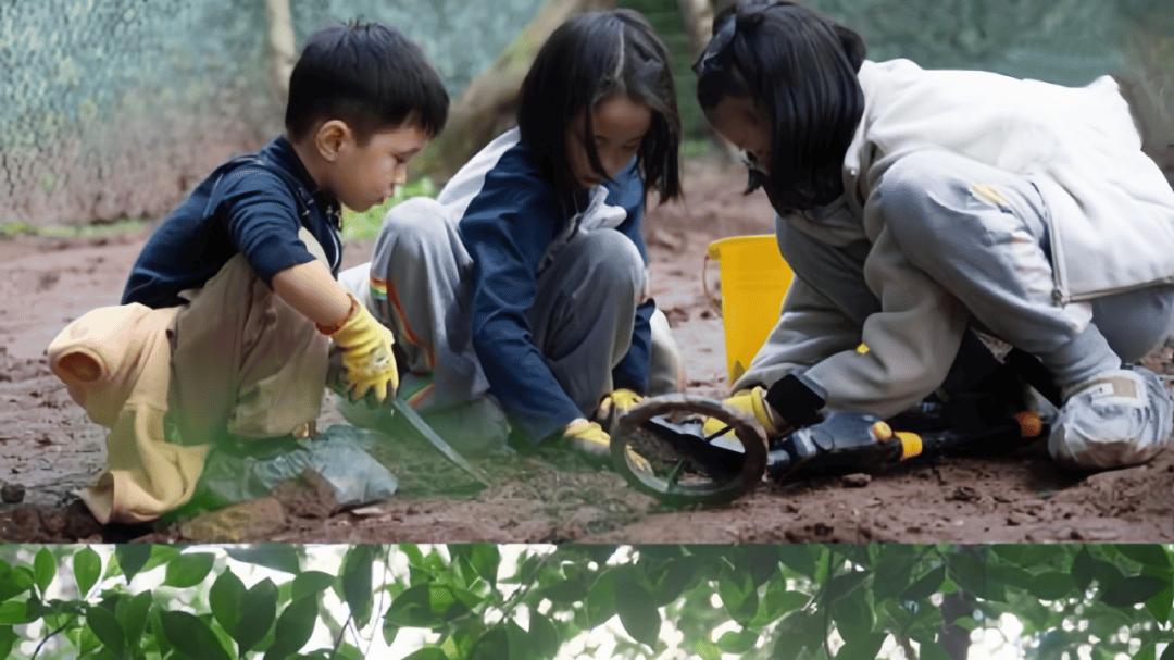 健康谷酒店清明假期限定成长冒险之旅|启航吧！ONE PIECE!