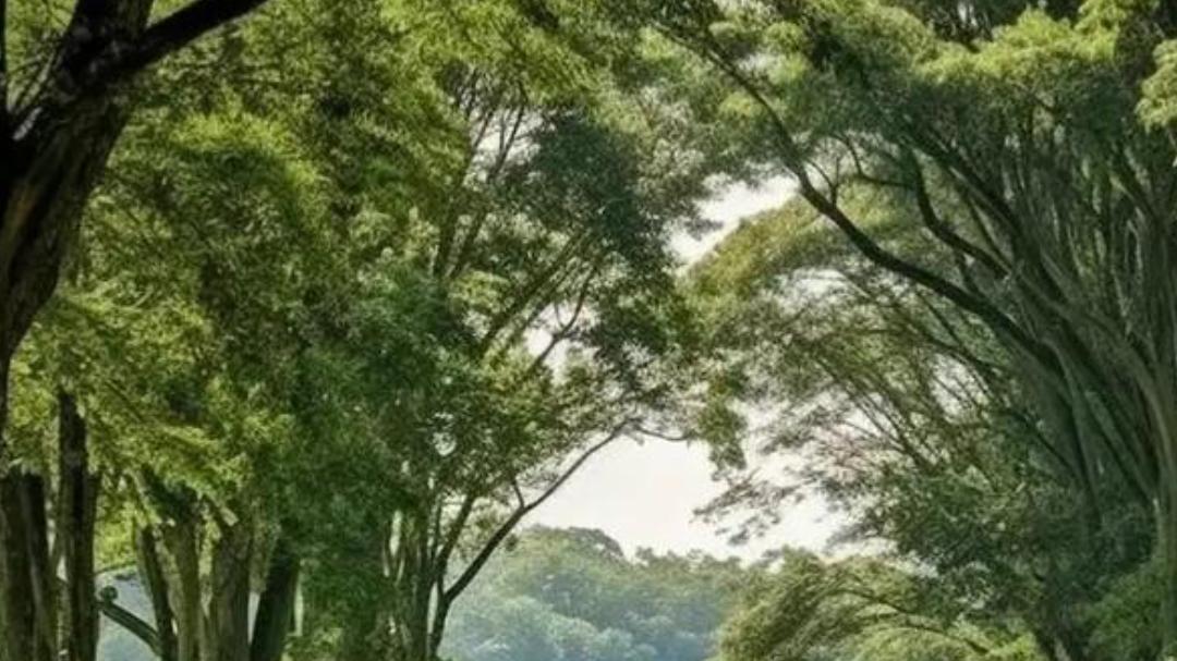 双相情感障碍的终极归宿：找到稳定与自我的平衡点。