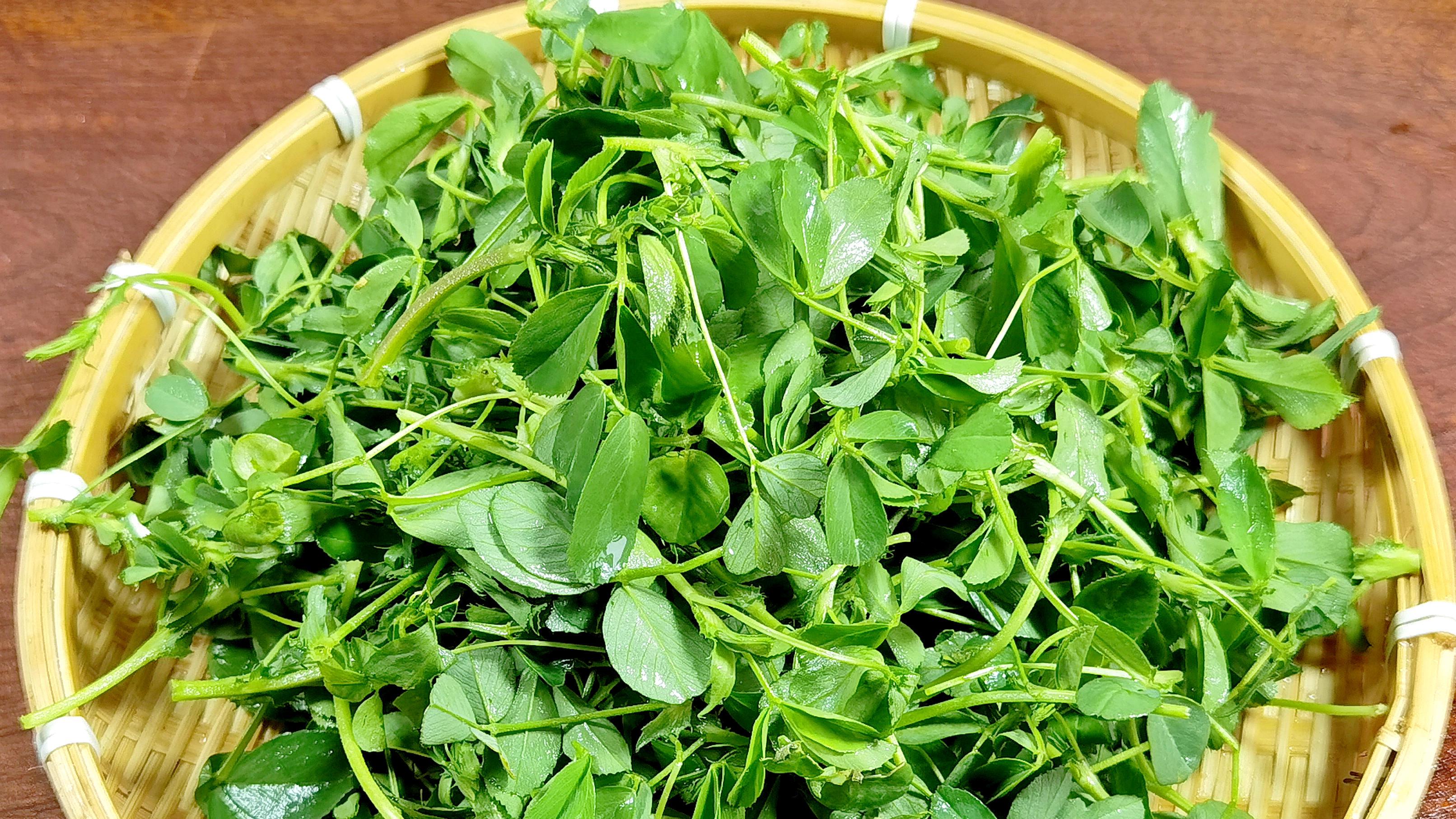 老人说“惊蛰吃3宝，不往医院跑”，指哪“3宝”？ 应季而食，养肝健脾强免疫，全家都受益！