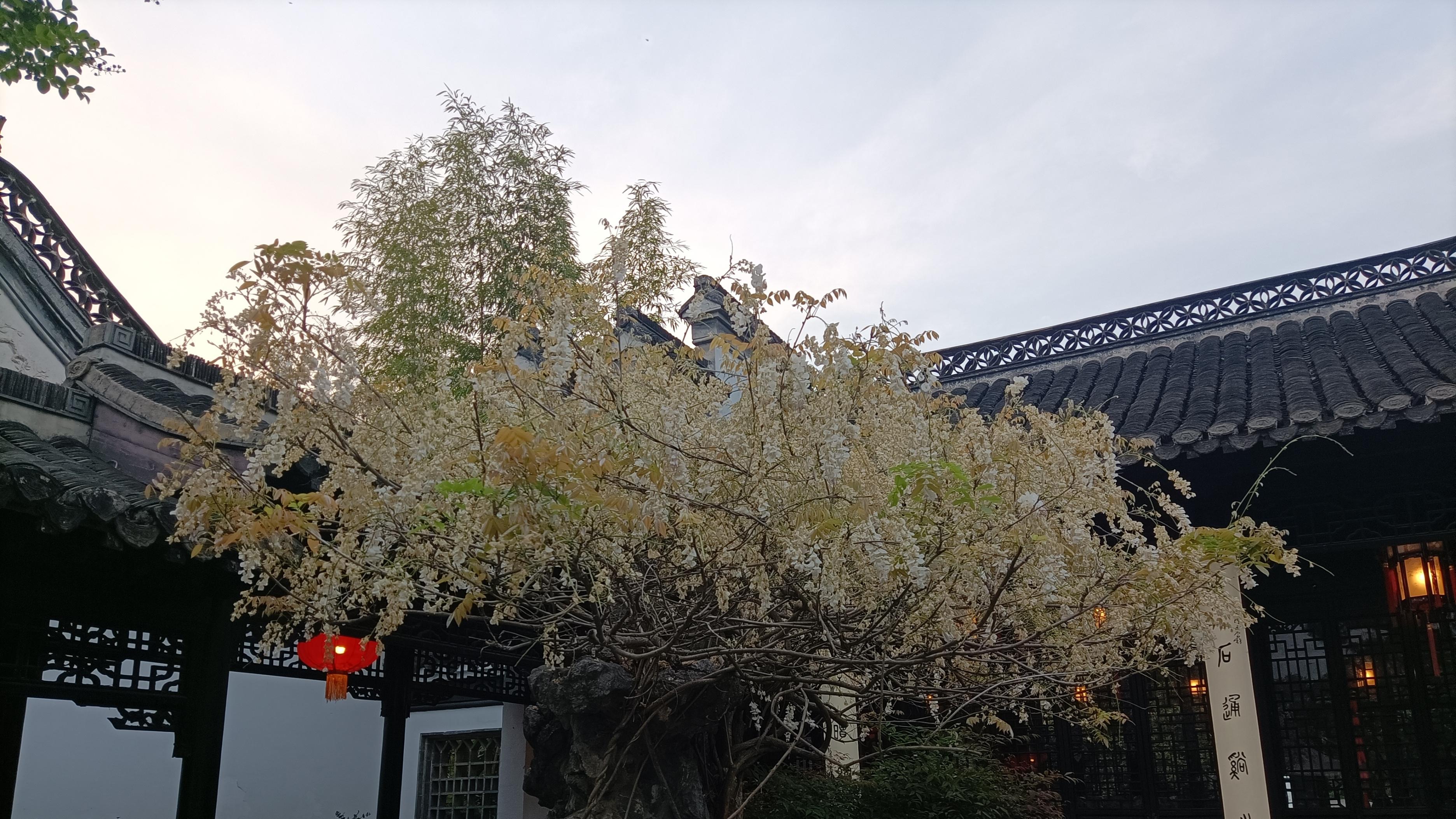 不同的视觉感受，源自同一个小景