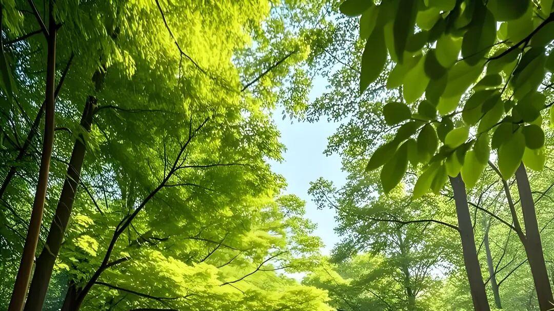 七律·青浓惜春深