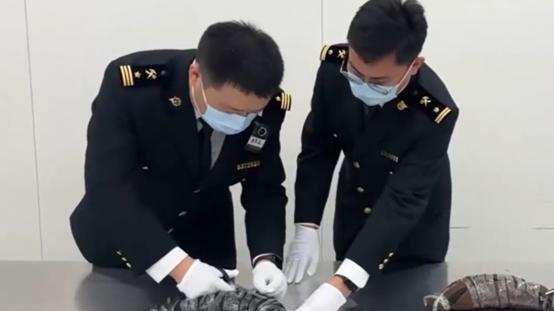 海关律师、走私辩护律师邵丹：皇岗海关查获走私表芯