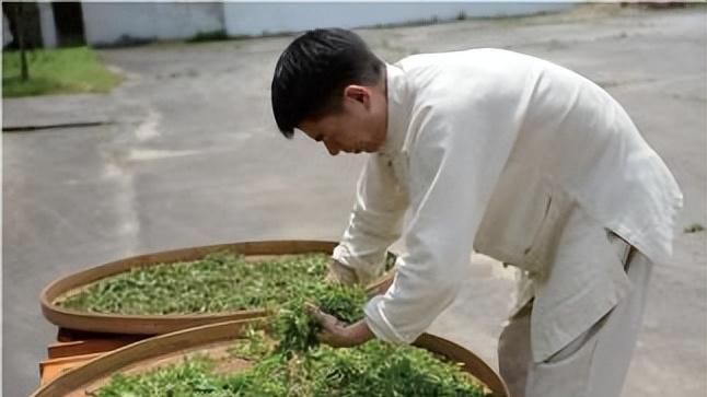 茶山里：以纹样为媒，打造乡村振兴的营销利器