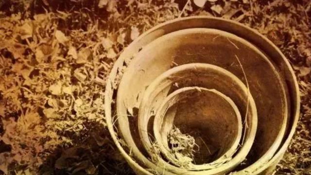 梦中梦：嵌套回路如何让逻辑脑过载并释放资源