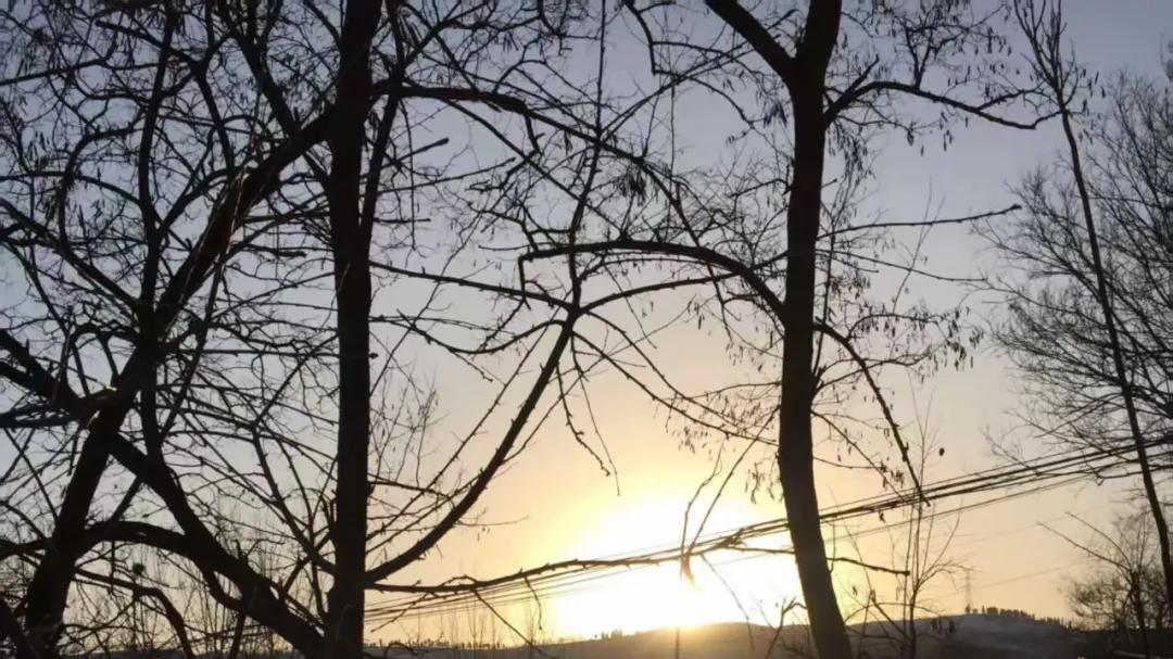 农村没有抑郁症——那个暑假一起抓蛤蟆的表弟，独自死在了老家的破房子里