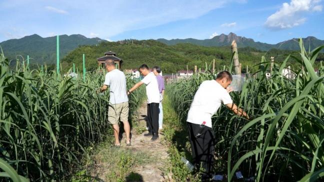福建松溪：山乡“微”变——从一只桶、一盏灯到一盒虫