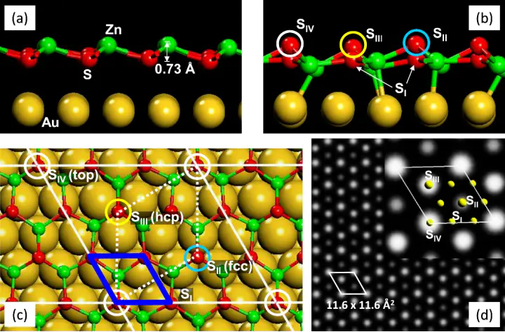 催化表面吸附位点对比：顶位与桥位的几何定义、电子键合机制及稳定性差异