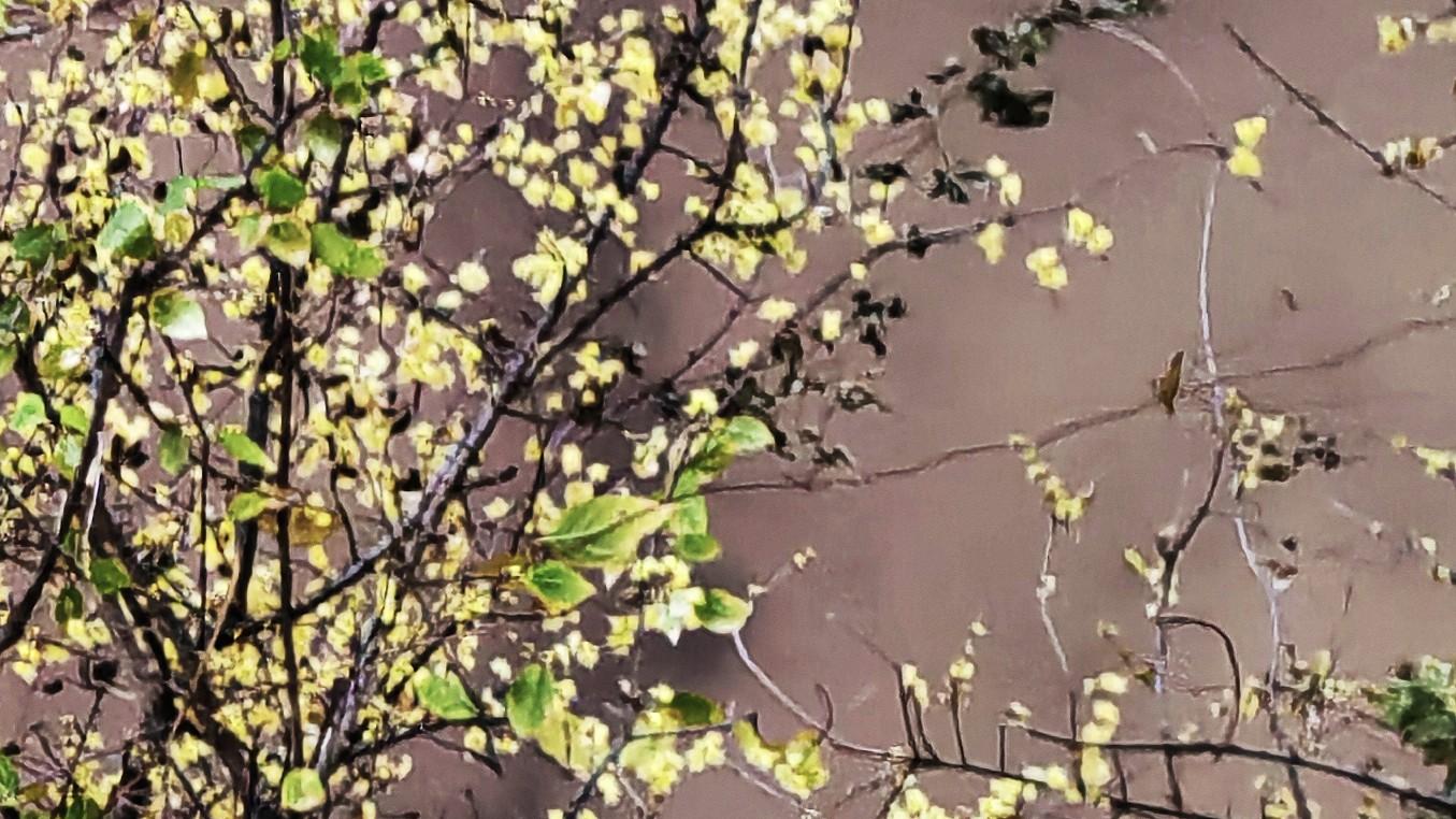 人在职场：大惊小怪不吓人，视若无睹才可怕