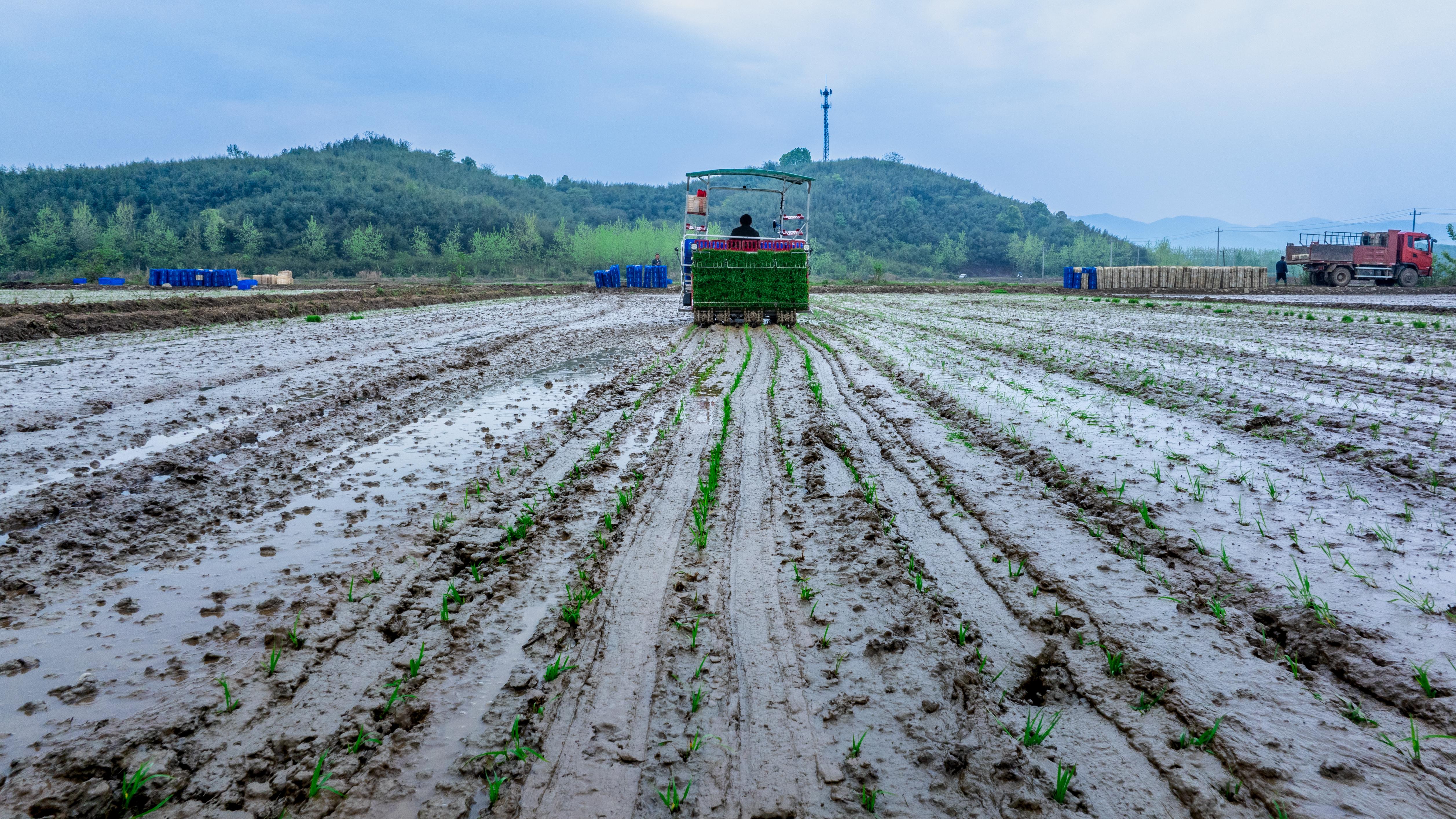 2026年，阳新“三农”这么干！