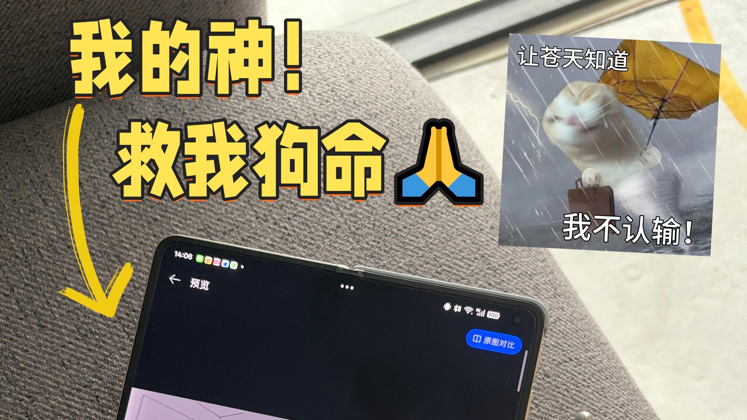 崩如溃！设计狗被折叠机救了一命😭