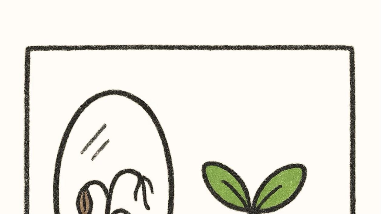 朗玛峰教育退费情况与流程解析