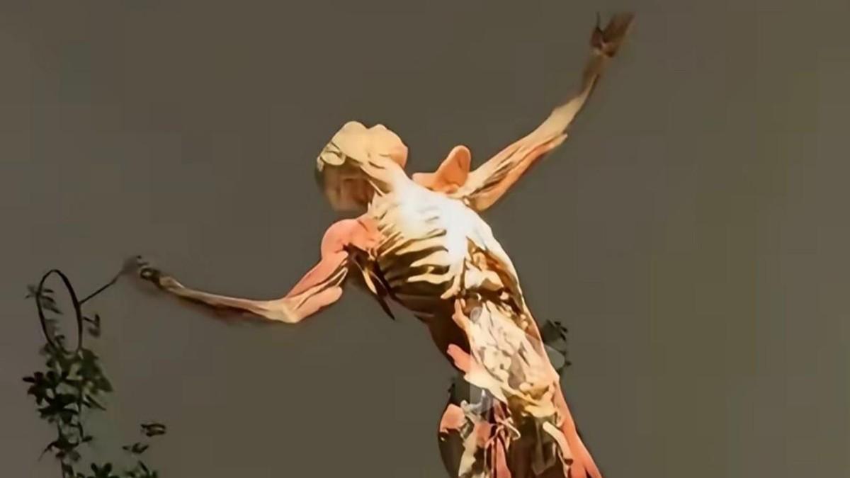 医学生拿大体老师头骨摆拍玩梗，周兆成：遗体捐献承载善意，戏谑标本触碰法律底线