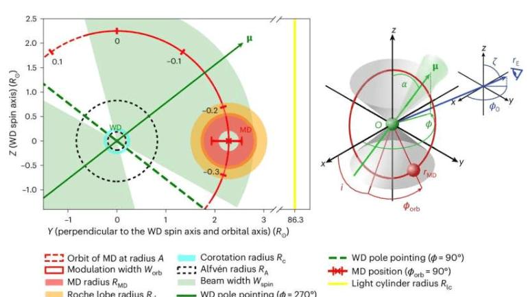 天文学研究：长周期瞬变源疑似白矮星双星系统产物