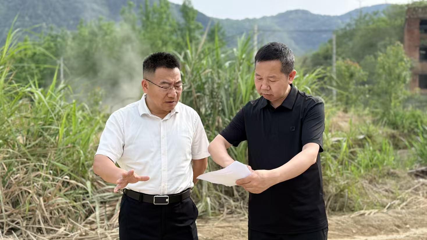 阳新：卢川调研全县“四未”项目推进情况