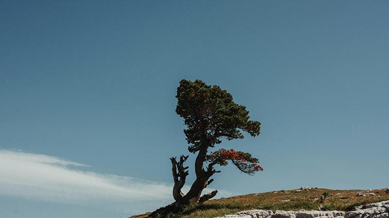 经典的误解：物以稀为贵，应该是物以“需”为贵