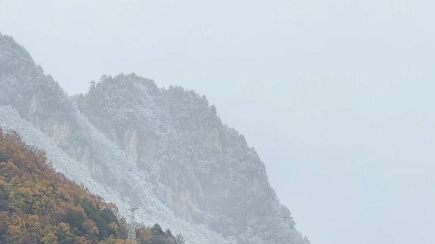 神农架秋日秘境：在原始森林追踪金丝猴的足迹