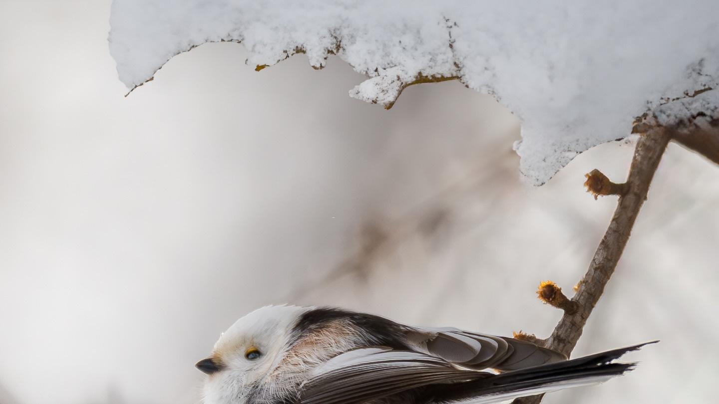 职场给女性的美貌枷锁：要么交“性别税”，要么凭实力破局