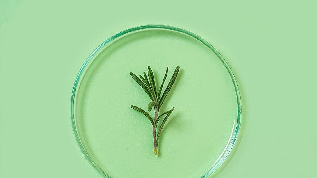 新春第一会背后，藏着中国经济最真实的底牌