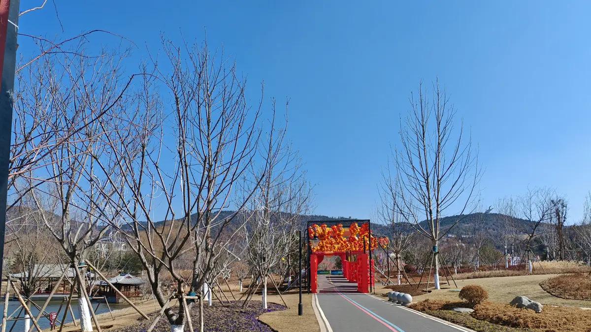 有所不为，才能有所为