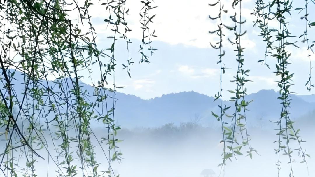 适合安静生活、不爱发朋友圈的你